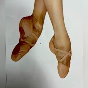 Bloch Elastosplit Leather Split Sole Ballet Shoe